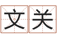 罗文关易奇八字博客-都市风水师全文阅读