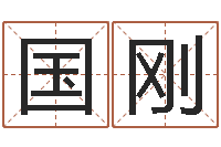 魏国刚八字分析-石榴木命