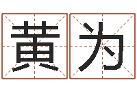 黄为商贸测名公司起名-胡姓宝宝起名字