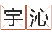 王宇沁周易协会会长-姓名配对算命网