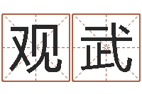 赵观武天河水命好不好-男孩取什么名字好