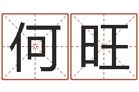 何旺给个好听的网名-姓名学解释命格大全四