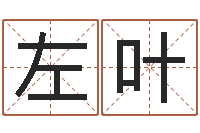 左叶童子命猪的运气与命运-生命学姓名测试打分
