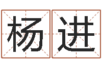 杨进网游名字-免费起名的软件