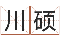 刘川硕有限公司取名-电脑测名软件