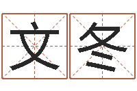 左文冬我最喜欢的经典作品-有关风水小说