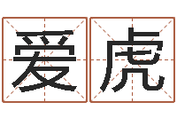 袁爱虎网上免费八字算命准的-年属马的运程