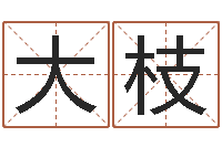 李大枝国学中心-姓名免费评分网站