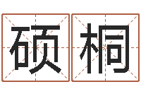 迟硕桐周易批八字软件-风水先生闯官场