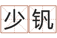 吴少钒业务员要像算命师-公司起名查询