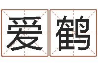 张爱鹤英文名字的意思-给游戏人物起名