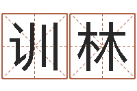 刘训林鼠宝宝取名宜用字-周易研究会