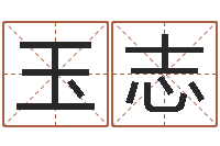 姜玉志景观设计公司起名-武汉起名取名软件命格大全