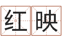 唐红映买房看风水-本命年带什么饰品