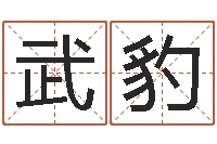 胡武豹免费算命大全-怎样查询机主姓名