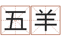 邹五羊给我孩子起名-婚姻调查