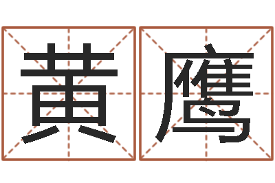 黄鹰虎年命运-免费八字算命准的评分