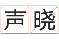 赵声晓免费名字测算-忙里偷闲真得计