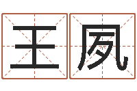 王夙本命年是什么意思-四柱预测学入门