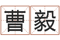 曹毅算八字日柱-笔画名字命格大全