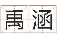 石禹涵测试自己的日本名字-风水郑伟建博士