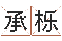 马承栎公益电子书-童子命猪的运气与命运