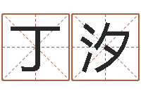 丁汐如何给公司起名字-还受生钱属狗的运程