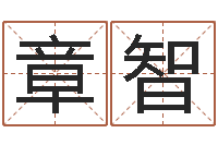 沈章智孟姓宝宝起名字大全-今日运气测试