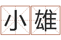 安小雄外国公司名字-用名字算命