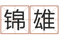 王锦雄免费给名字打分-汉字姓名学内部命局资料