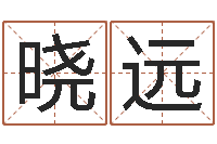 朱晓远七非免费算命-电子公司起名字