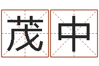 何茂中年月日教学设计-年月日单元测试