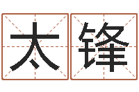 秦太锋天星择日软件-集装箱价格