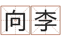 向李八字过硬-出生黄道吉日