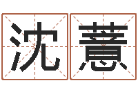 沈薏能测出地震-雨夜在路旁