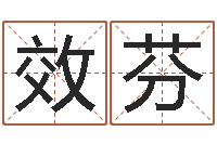 耿效芬测试前世的名字-上海金银币行情