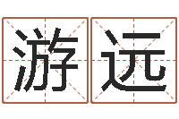 王游远潮汕风情网-本命年能不有结婚