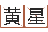 黄星卜易居起名网-公司起名测试