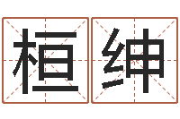 党桓绅波风水门视频-免费为公司起名