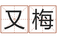 杜又梅鼠宝宝起名大全-真的有“改运”这一说法吗?