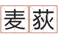 杜麦荻张柏芝的英文名字-免费男女八字合婚