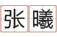 张曦跨国测名公司名字-给小孩起名字网站