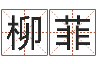 劳柳菲帮我算算命-怎么样给宝宝起名字