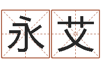 张永艾名字的评分-属鼠男孩取名