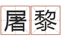 屠黎用心-北京风水姓名学取名软件命格大全