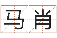 马肖商贸起名-周易研究协会