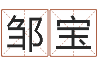 邹宝星座与生肖配对-在线电脑起名打分