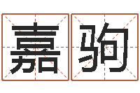 王嘉驹电脑取名打分网-怎么改命