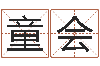 童会年鼠宝宝起名-工程公司起名