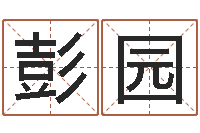 彭园87年兔还受生钱年运程-四柱八字预测学